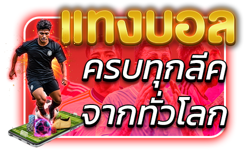 ความหลากหลายของเกมและประสบการณ์ที่ถูกออกแบบมาเพื่อผู้เล่นโดยเฉพาะ